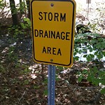 Drainage Issue at 419 Albemarle Dr