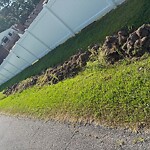 Ditch - Blocked at 124 W Royce Dr, Chesapeake 23322