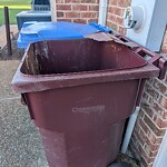 Trash Can - Replacement (Brown Can) at 1615 Dock Landing Rd
