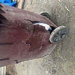 Trash Can - Replacement (Brown Can) at 1421 Ardmore Cir, Chesapeake 23324