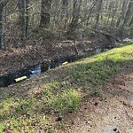 Ditch - Blocked at Draughon Rd, Chesapeake 23322