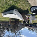 Bulk Trash Pickup at 2922 Mayon Dr