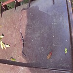 Trash Can - Replacement (Brown Can) at 4326 Stafford Dr