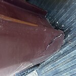 Trash Can - Replacement (Brown Can) at 1924 Lancing Crest Ln