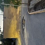 Pothole Repair at 146 Battlefield Blvd S, Chesapeake 23322
