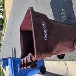 Trash Can - Replacement (Brown Can) at 1124 Madison Lynn Way