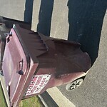 Trash Can - Replacement (Brown Can) at 2820 Crossings Dr