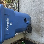 Trash Can - Replacement (Brown Can) at 2820 Crossings Dr