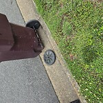 Trash Can - Replacement (Brown Can) at 1520 Cheltingham Ct, Chesapeake 23322
